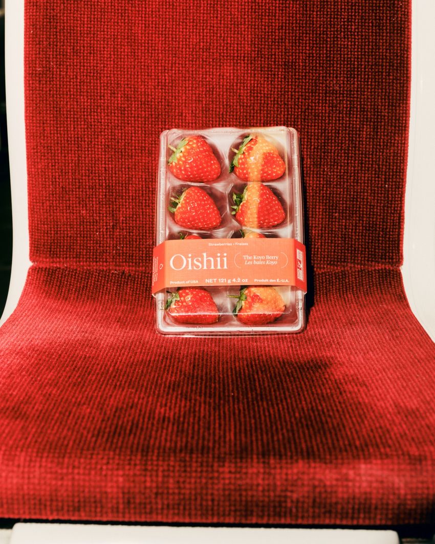 文化放送『村上信五くんと経済クン』にCEO古賀が出演（3/15）